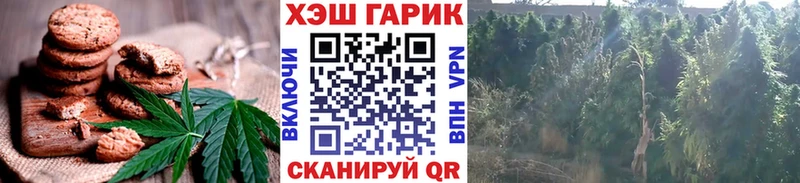 сколько стоит Биробиджан Canna-Cookies конопля