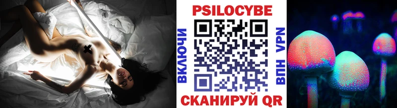 блэк спрут как зайти  Биробиджан  Псилоцибиновые грибы мицелий 